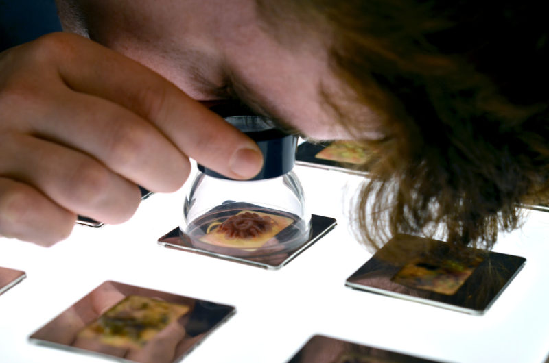 Photograph of person looking at film slides