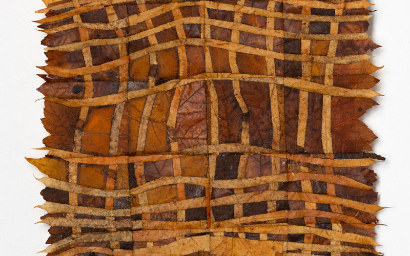 1 jscherzer – Foliation