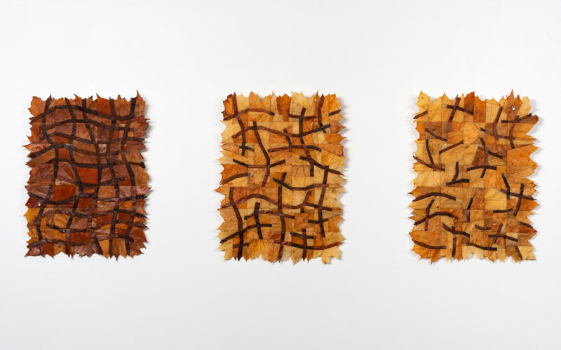 2 jscherzer – Unwoven; mesh, decay, growth