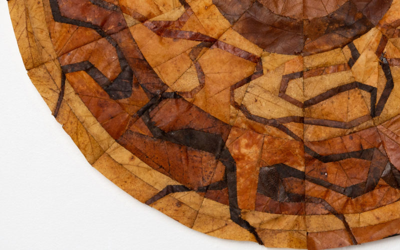 4 jscherzer – Venous Closeup