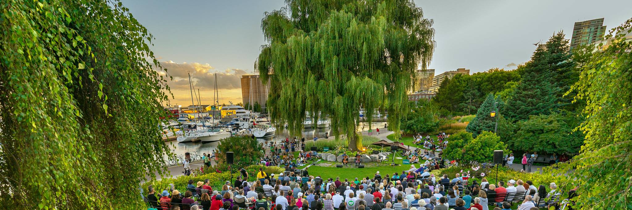 Summer Music in the Garden - Harbourfront Centre