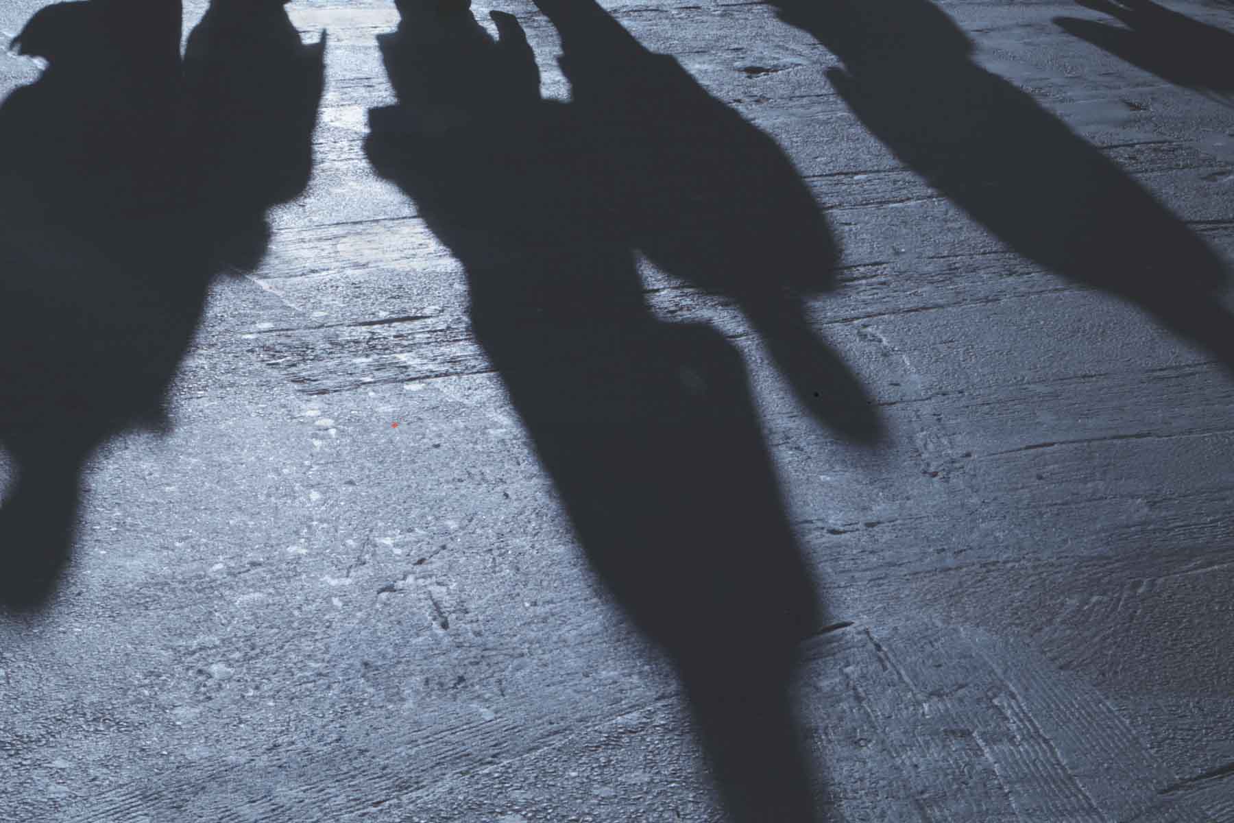 Night Shadows - Harbourfront Centre