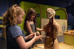 Two girls playing with a human model at a science centre