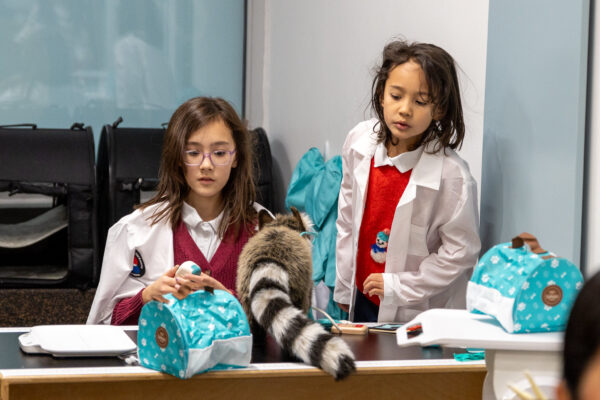 Two girls playing doctor in a pretend vet clinic.