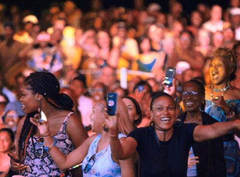 Crowd of people at an outdoor concert