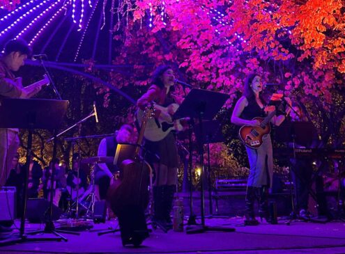 An outdoor music concert at night with colourful lights