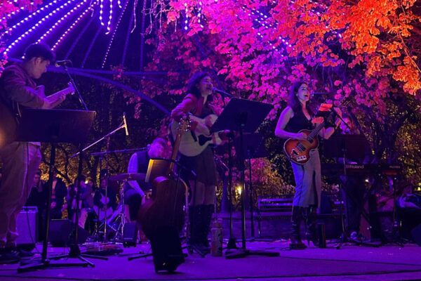 An outdoor music concert at night with colourful lights