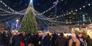 An outdoor gathering around a lighted tree for the holidays at night