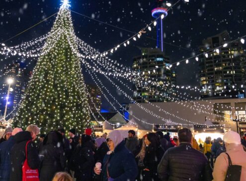 An outdoor gathering around a lighted tree for the holidays at night