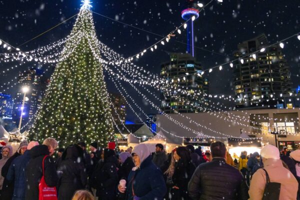 An outdoor gathering around a lighted tree for the holidays at night