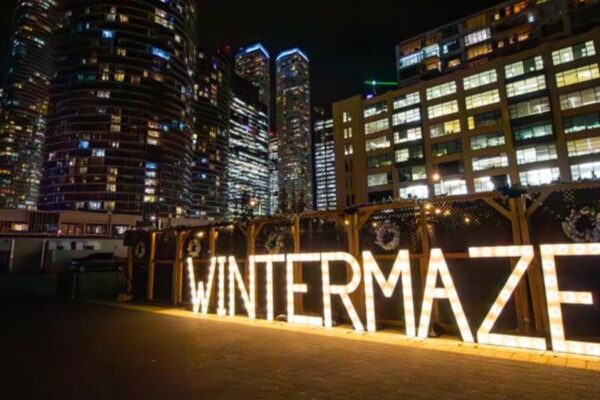 An outdoor maze at night with a lighted sign Winter Maze
