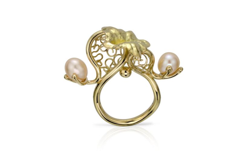 Ring close-up